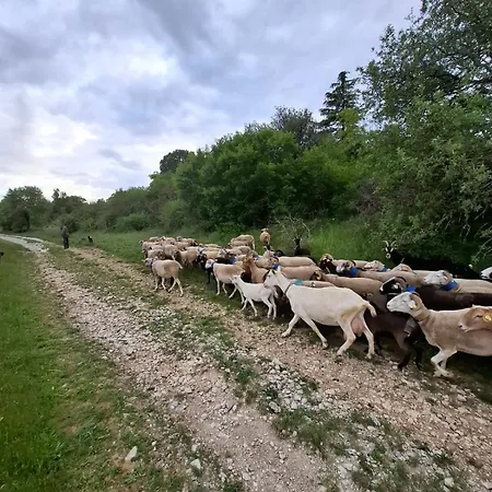 La Lussanaise