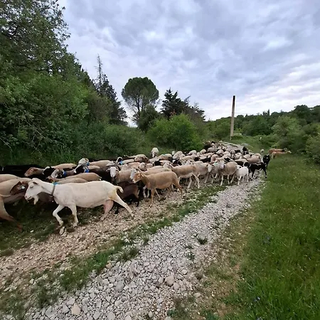 La Lussanaise 3*